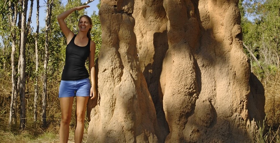Kakadu and Litchfield Tours Termite Mounds